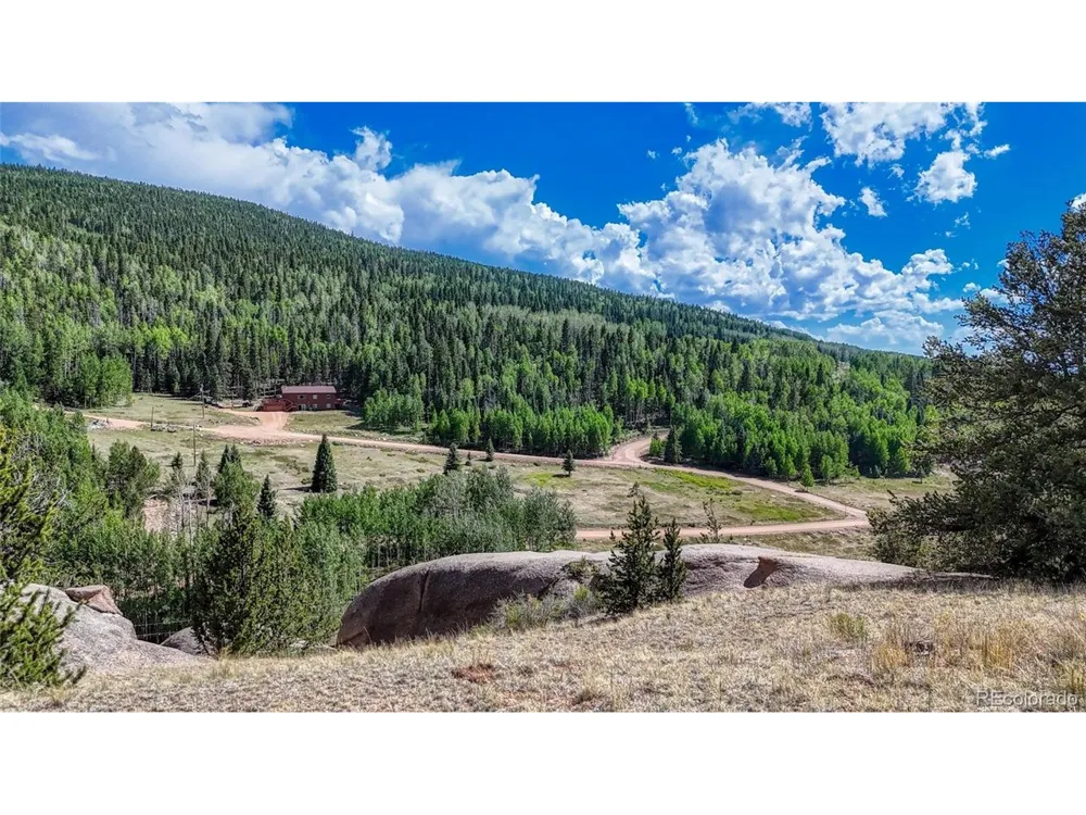 282 Fairview Drive Florissant, CO 80816