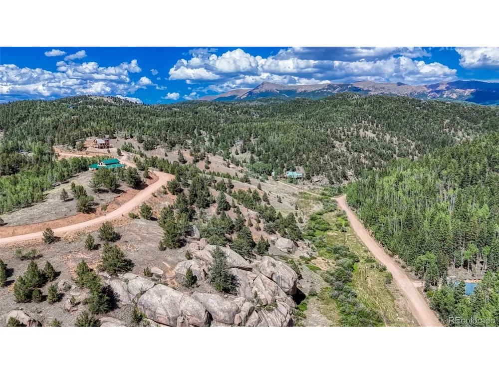 282 Fairview Drive Florissant, CO 80816