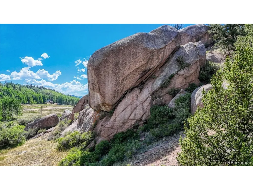 282 Fairview Drive Florissant, CO 80816