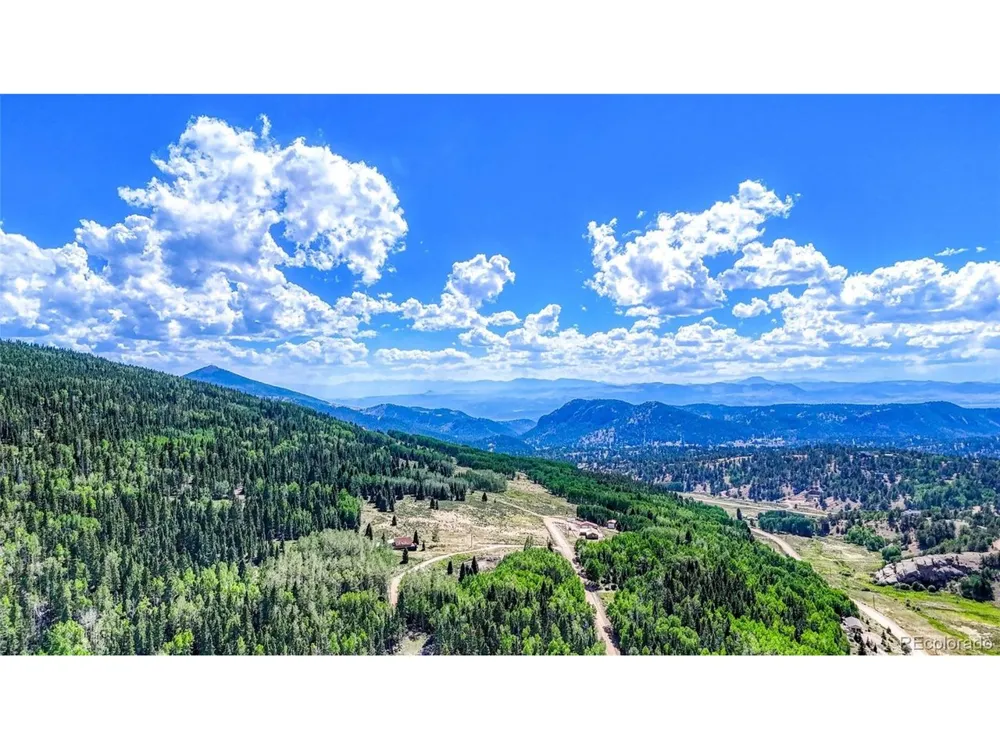 282 Fairview Drive Florissant, CO 80816