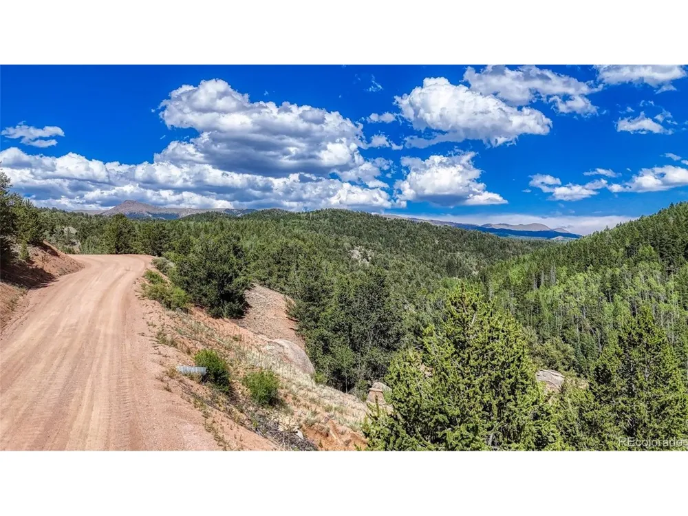 282 Fairview Drive Florissant, CO 80816