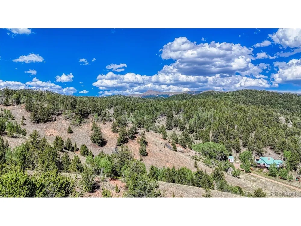282 Fairview Drive Florissant, CO 80816