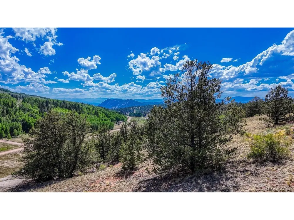 282 Fairview Drive Florissant, CO 80816