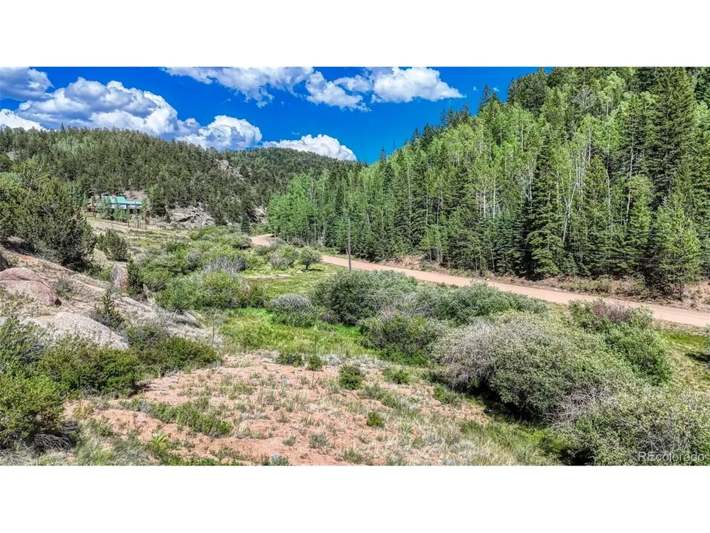 282 Fairview Drive Florissant, CO 80816