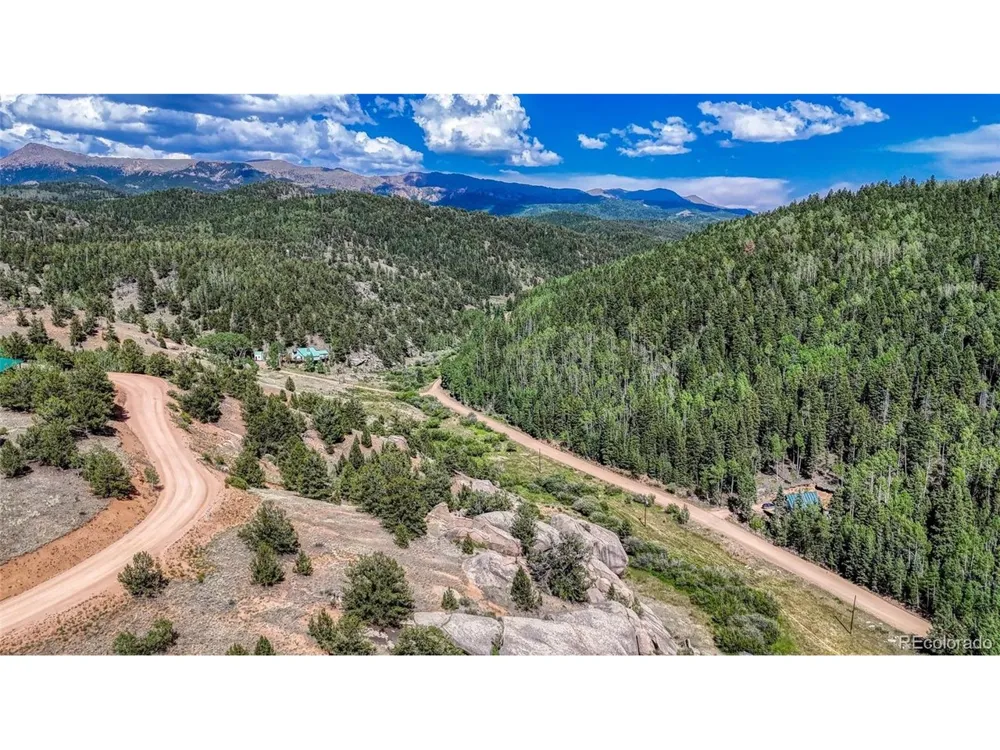 282 Fairview Drive Florissant, CO 80816
