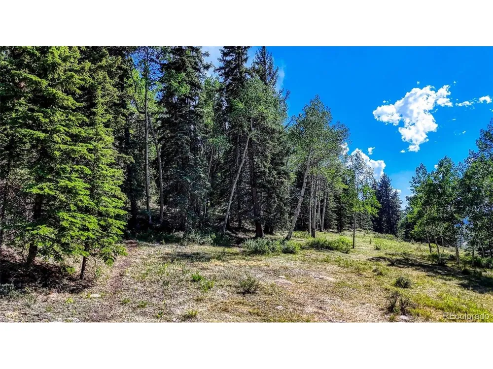 282 Fairview Drive Florissant, CO 80816