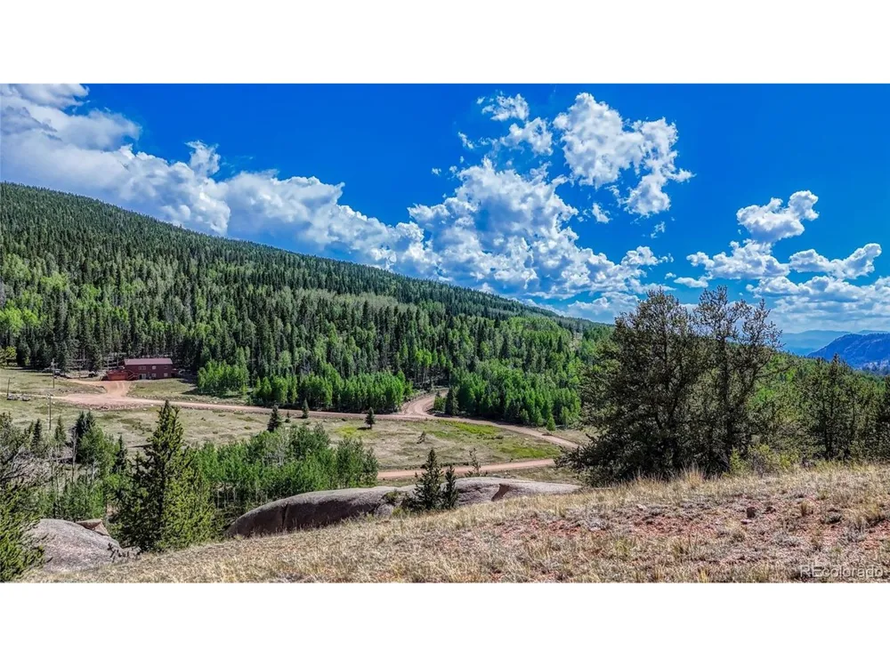 282 Fairview Drive Florissant, CO 80816