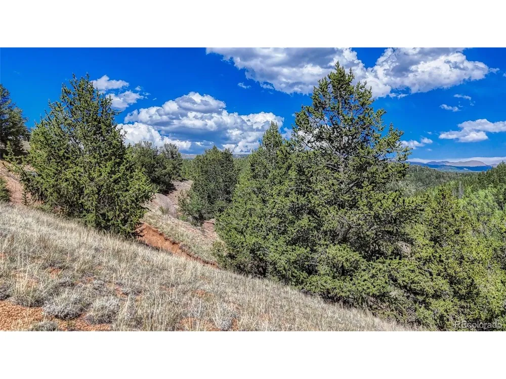 282 Fairview Drive Florissant, CO 80816