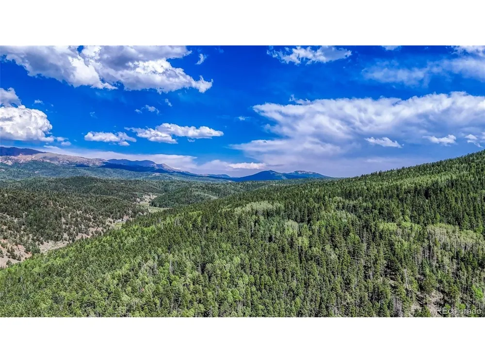 282 Fairview Drive Florissant, CO 80816