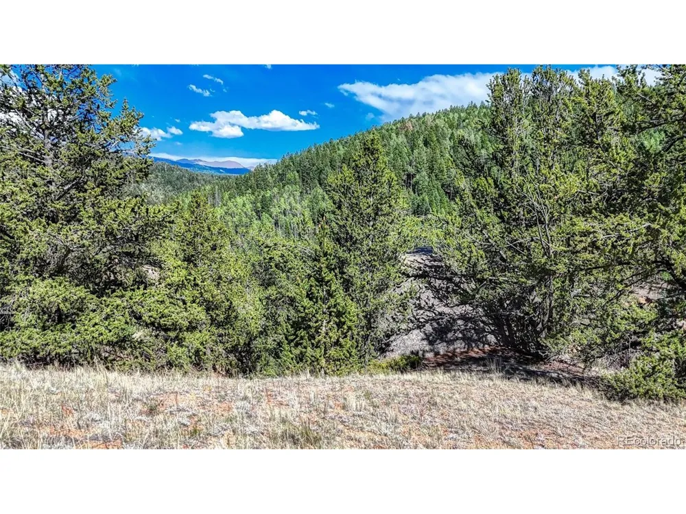 282 Fairview Drive Florissant, CO 80816