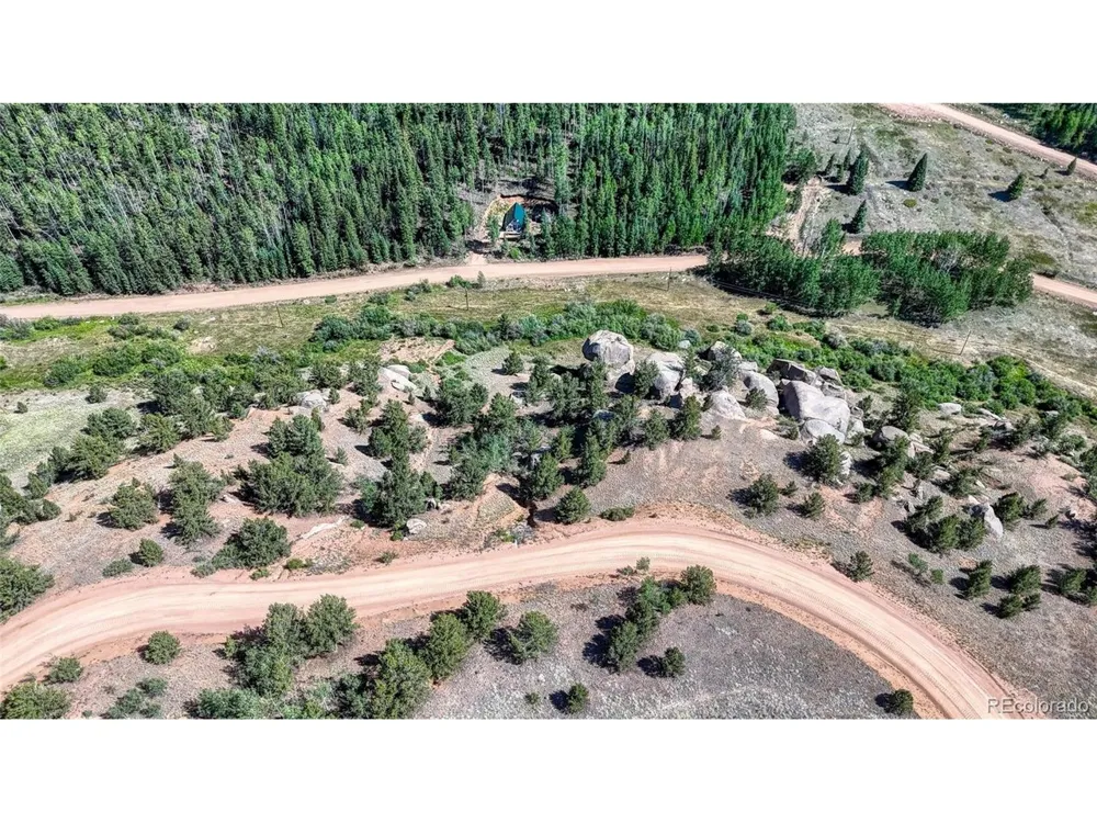 282 Fairview Drive Florissant, CO 80816