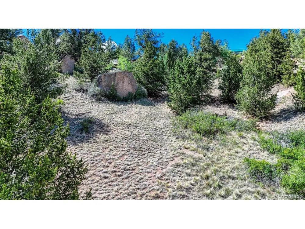 282 Fairview Drive Florissant, CO 80816