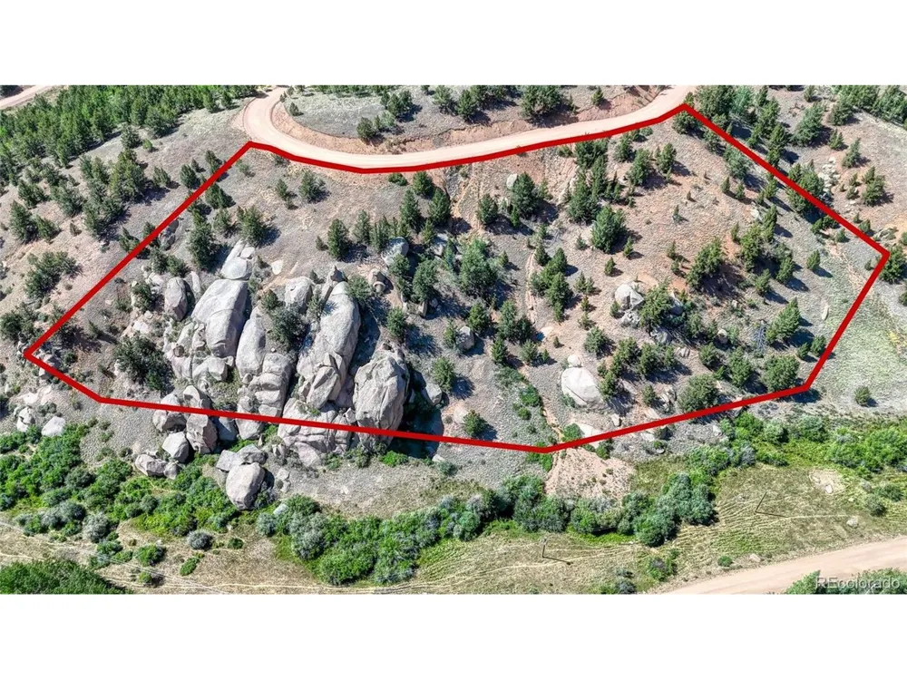 282 Fairview Drive Florissant, CO 80816