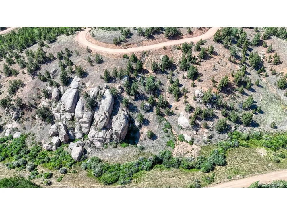 282 Fairview Drive Florissant, CO 80816