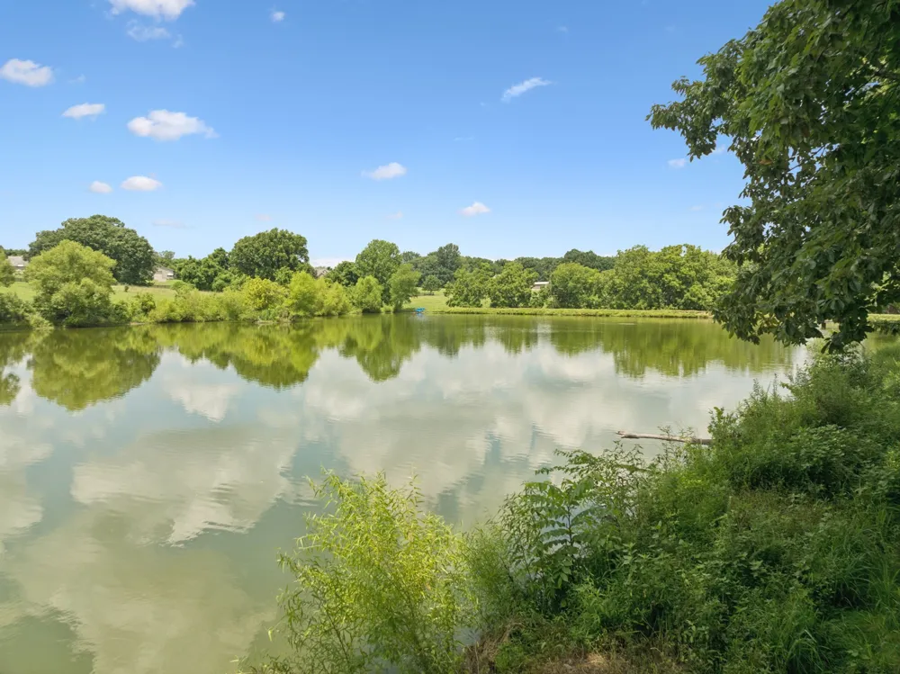 1411 Bell Meadow Ct Nolensville, TN 37135