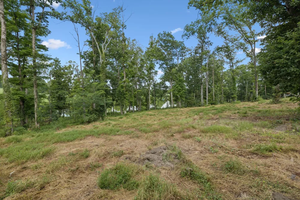 1411 Bell Meadow Ct Nolensville, TN 37135