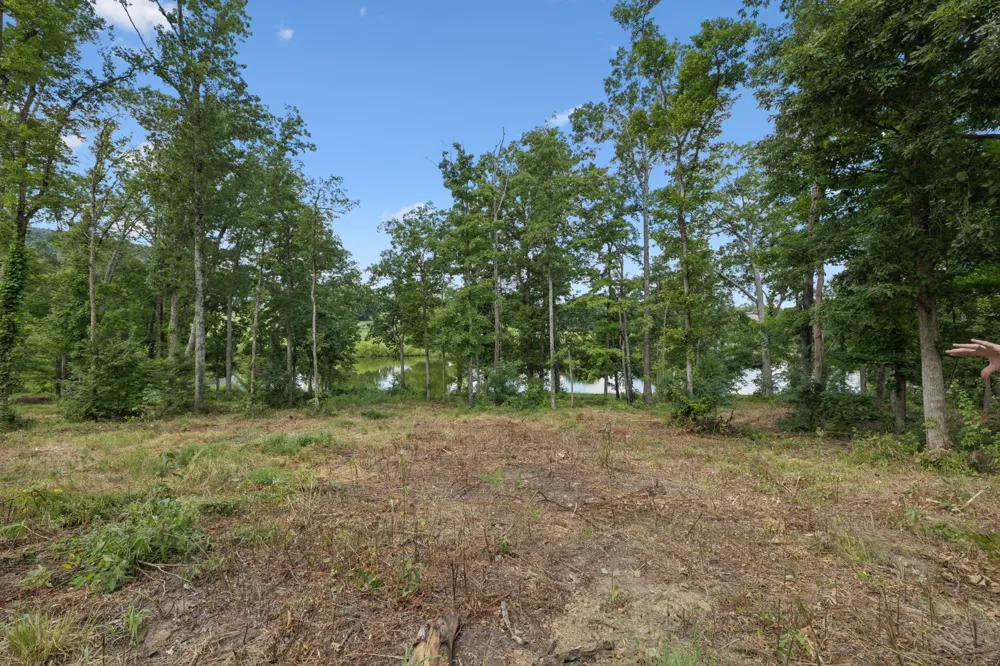 1411 Bell Meadow Ct Nolensville, TN 37135