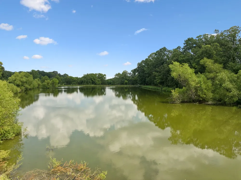 1411 Bell Meadow Ct Nolensville, TN 37135