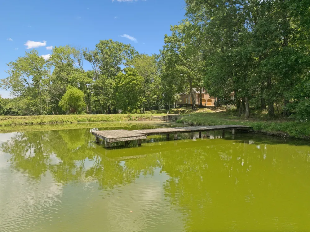 1411 Bell Meadow Ct Nolensville, TN 37135