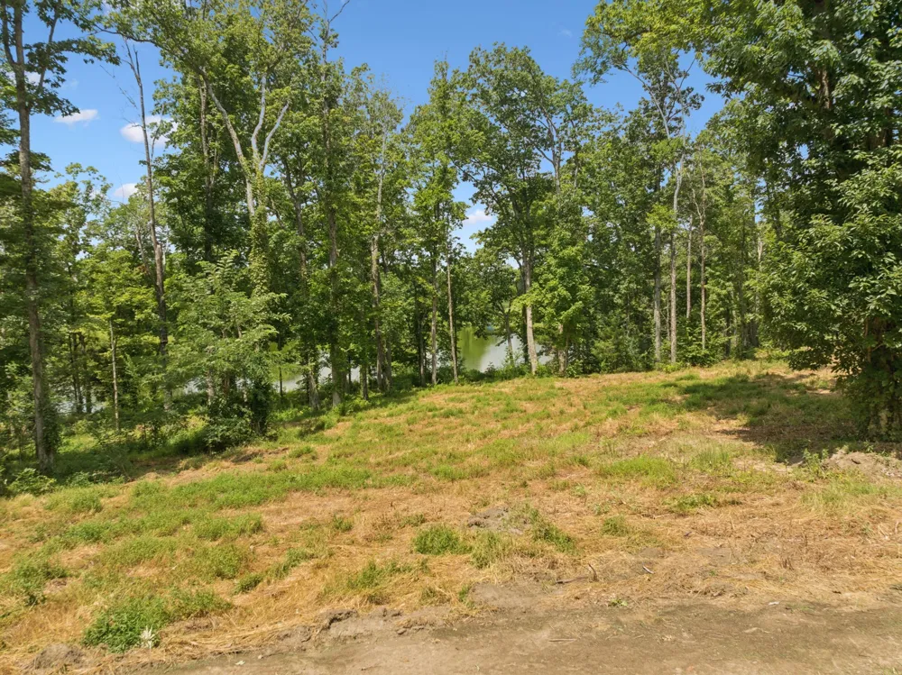 1411 Bell Meadow Ct Nolensville, TN 37135