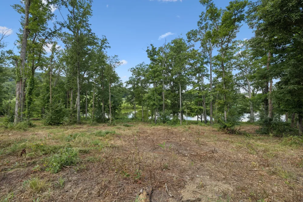 1411 Bell Meadow Ct Nolensville, TN 37135