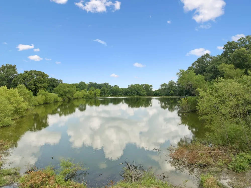 1411 Bell Meadow Ct Nolensville, TN 37135