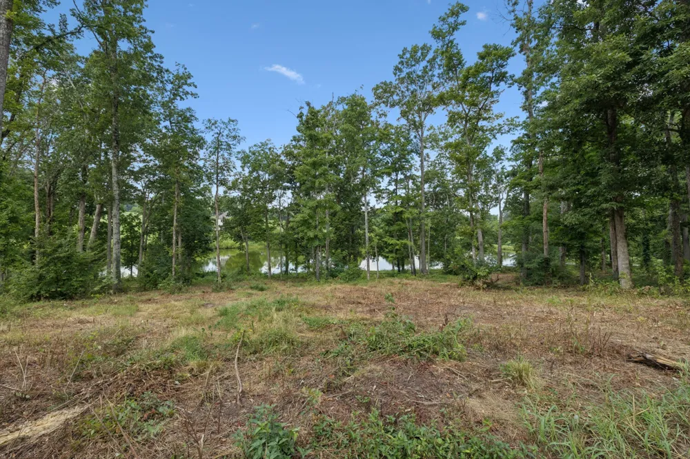 1411 Bell Meadow Ct Nolensville, TN 37135