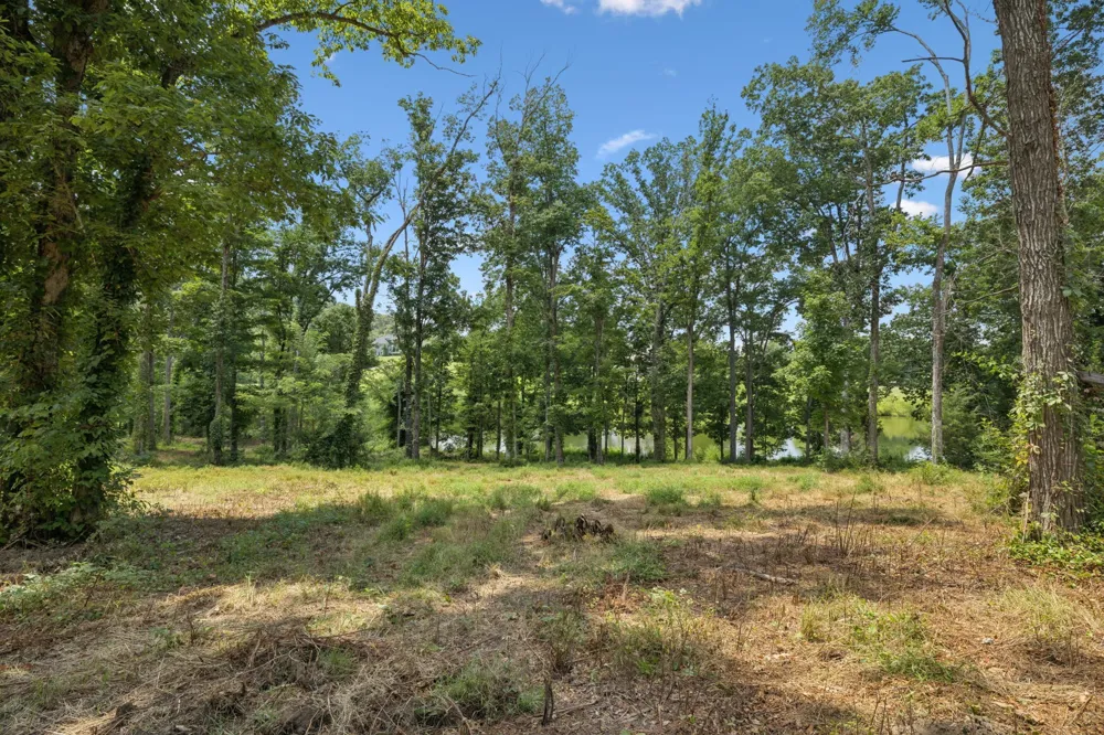 1411 Bell Meadow Ct Nolensville, TN 37135
