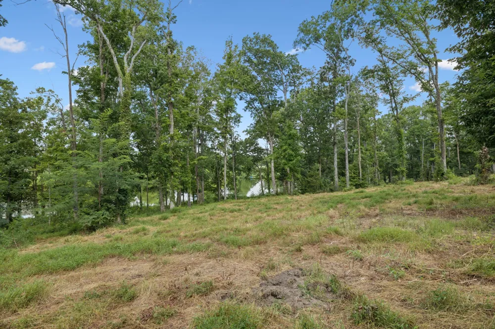 1411 Bell Meadow Ct Nolensville, TN 37135