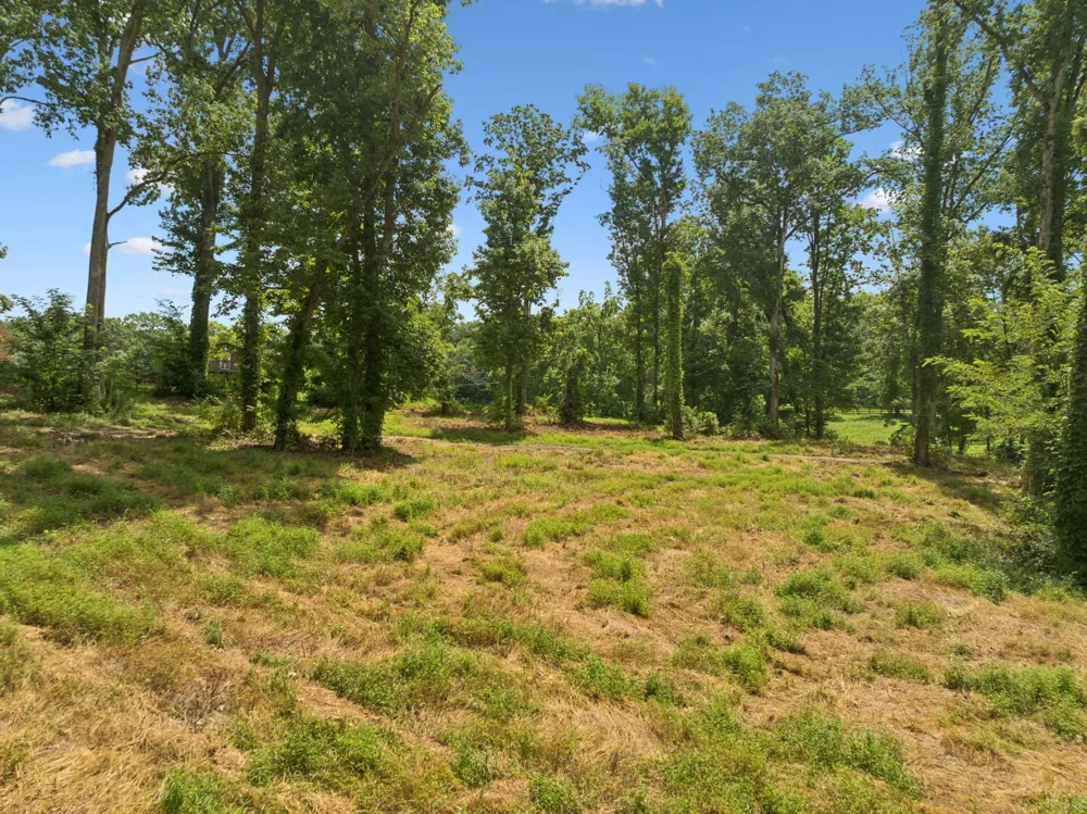 1411 Bell Meadow Ct Nolensville, TN 37135