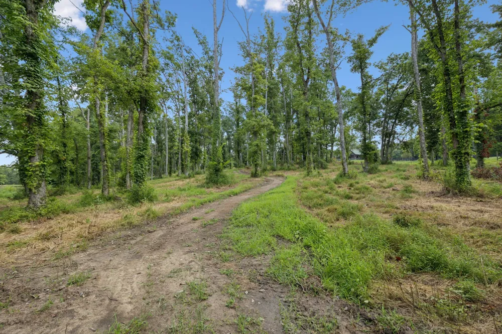 1411 Bell Meadow Ct Nolensville, TN 37135