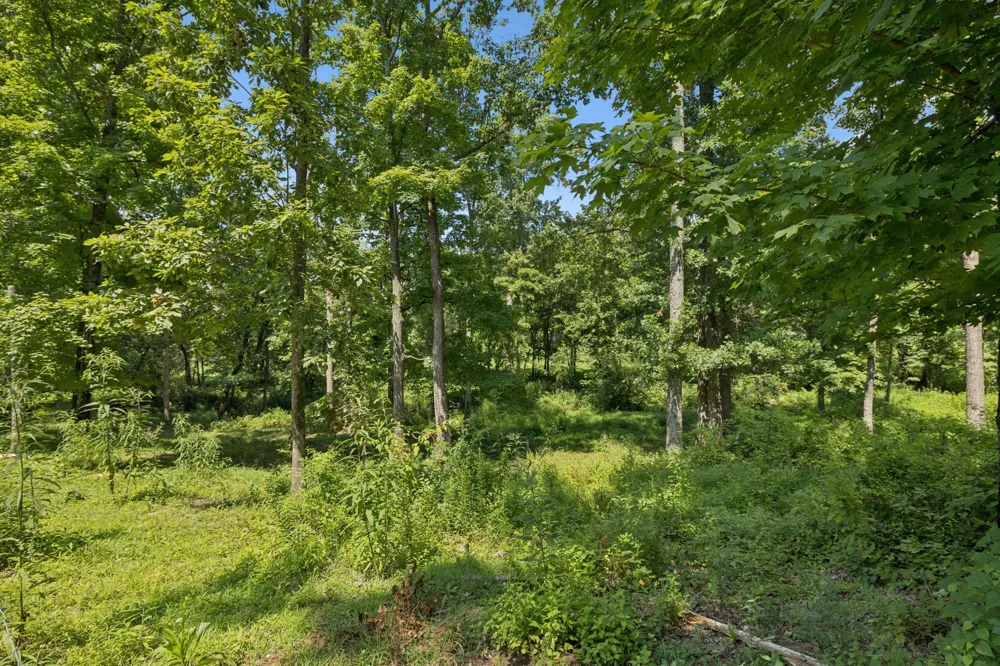 1411 Bell Meadow Ct Nolensville, TN 37135