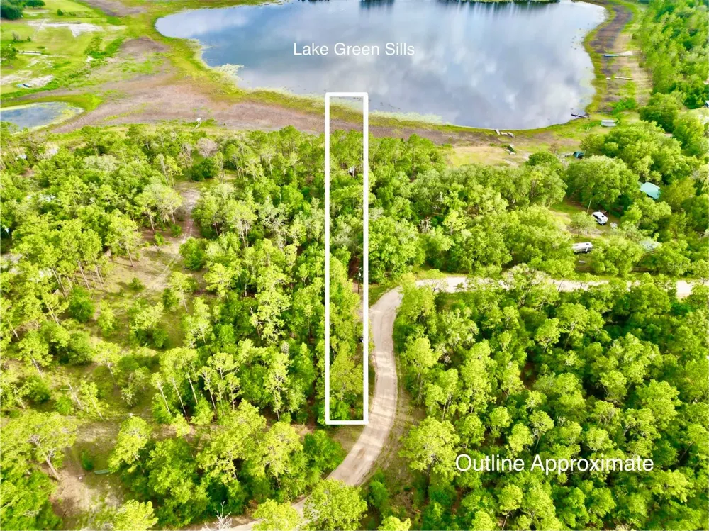 125 SILVER DOLLAR POND ROAD Hawthorne, FL 32640