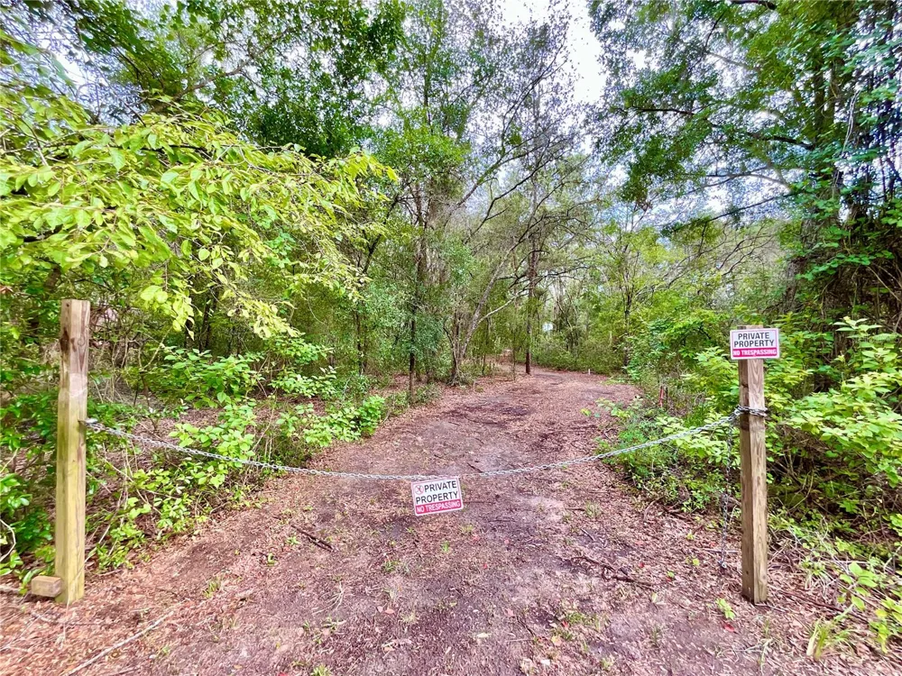 125 SILVER DOLLAR POND ROAD Hawthorne, FL 32640