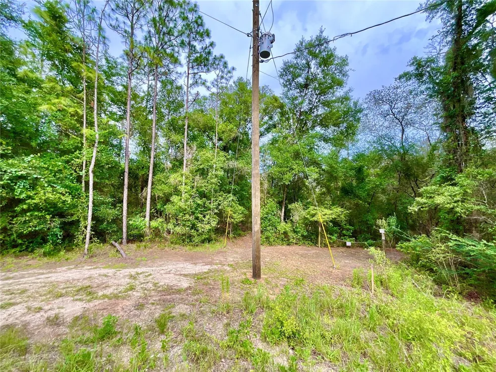 125 SILVER DOLLAR POND ROAD Hawthorne, FL 32640