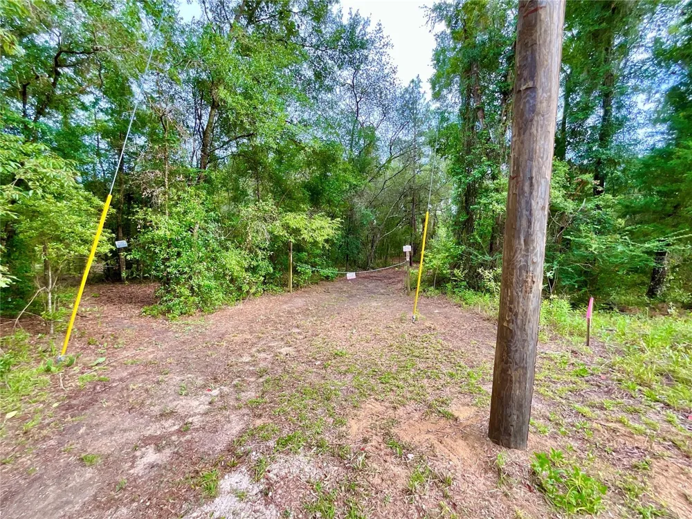 125 SILVER DOLLAR POND ROAD Hawthorne, FL 32640