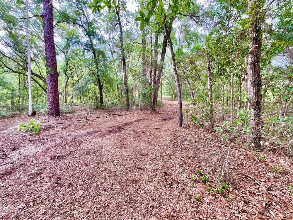 125 SILVER DOLLAR POND ROAD Hawthorne, FL 32640