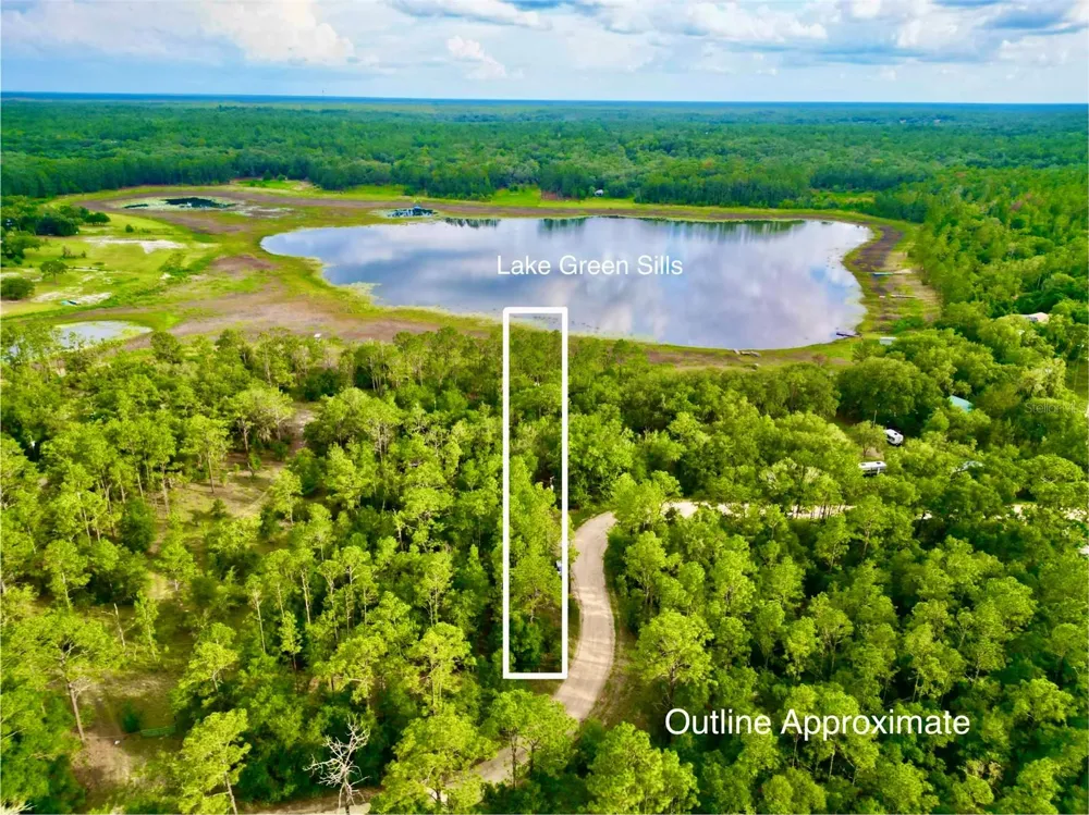 125 SILVER DOLLAR POND ROAD Hawthorne, FL 32640