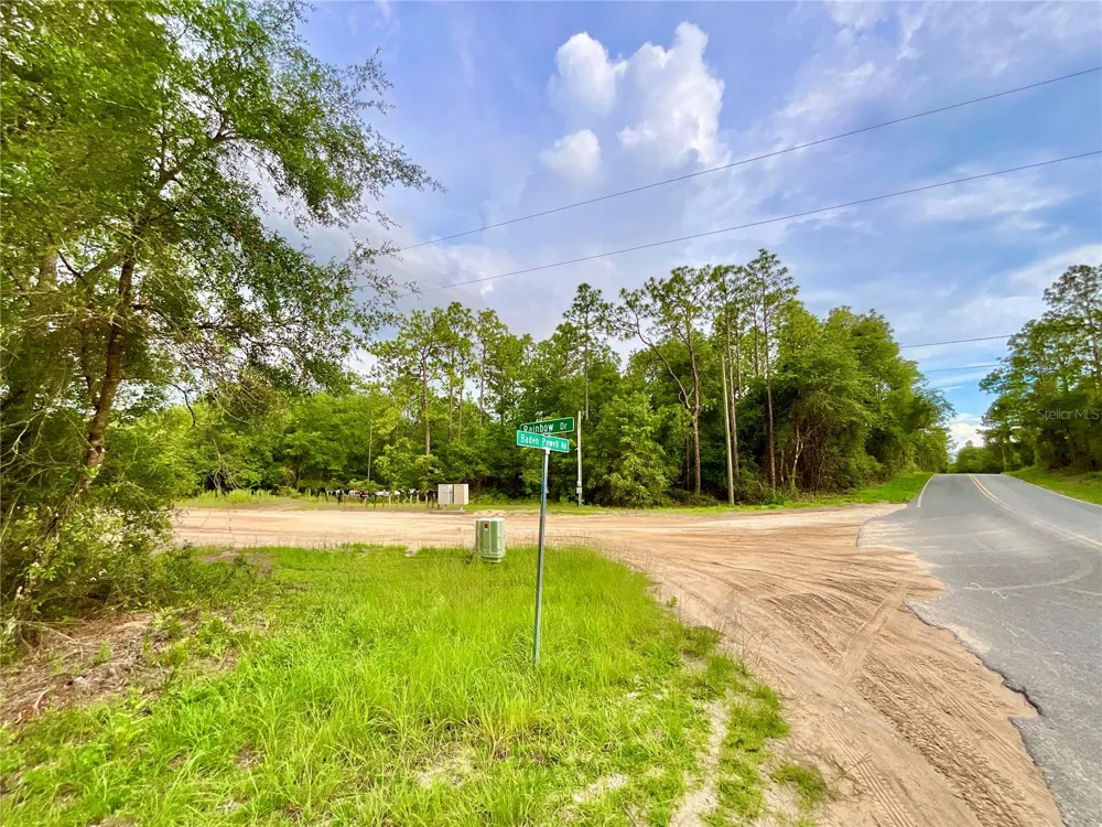 125 SILVER DOLLAR POND ROAD Hawthorne, FL 32640