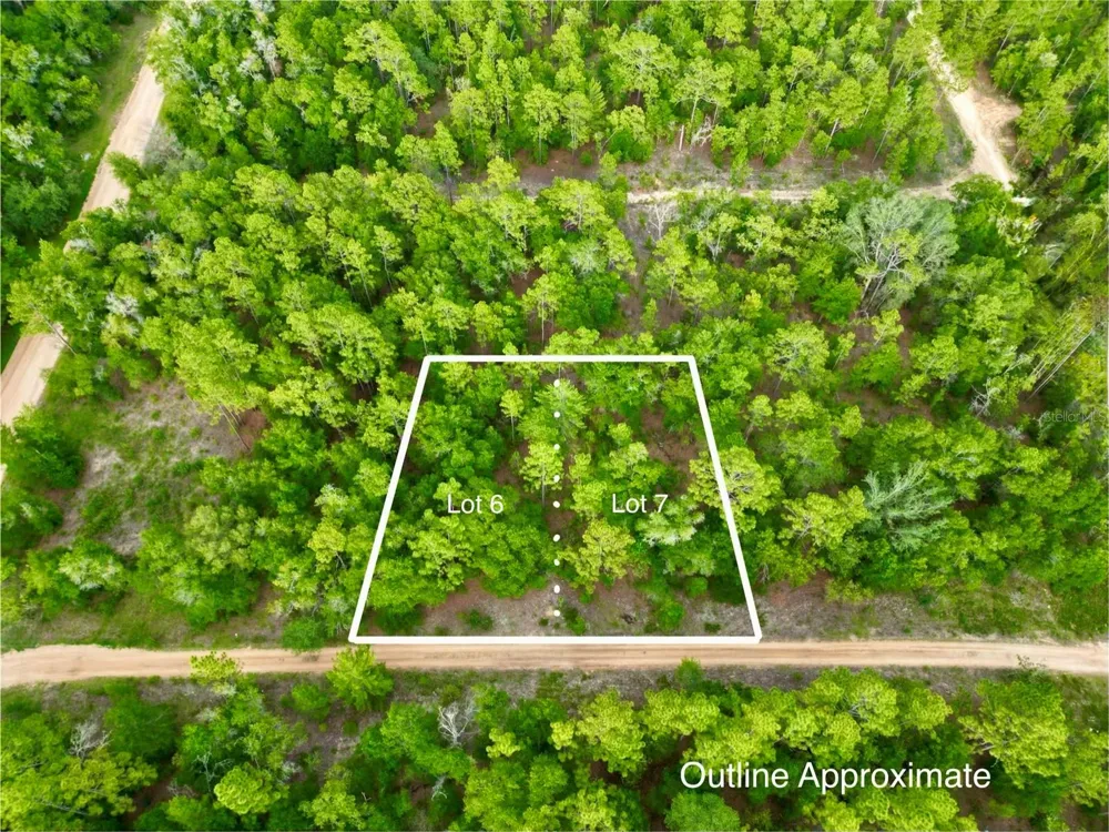 125 SILVER DOLLAR POND ROAD Hawthorne, FL 32640
