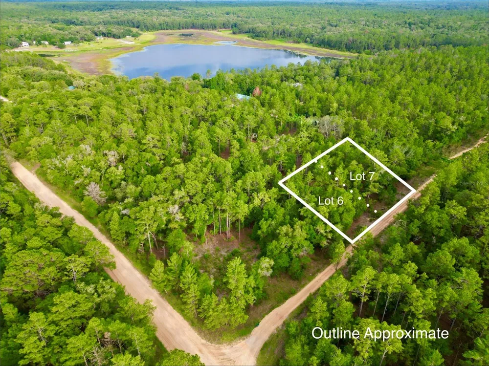 125 SILVER DOLLAR POND ROAD Hawthorne, FL 32640