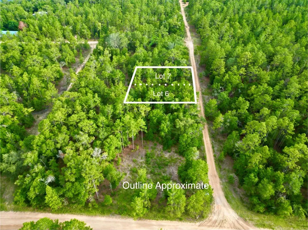125 SILVER DOLLAR POND ROAD Hawthorne, FL 32640