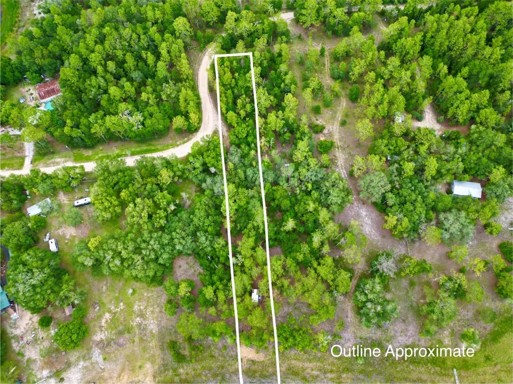 125 SILVER DOLLAR POND ROAD Hawthorne, FL 32640