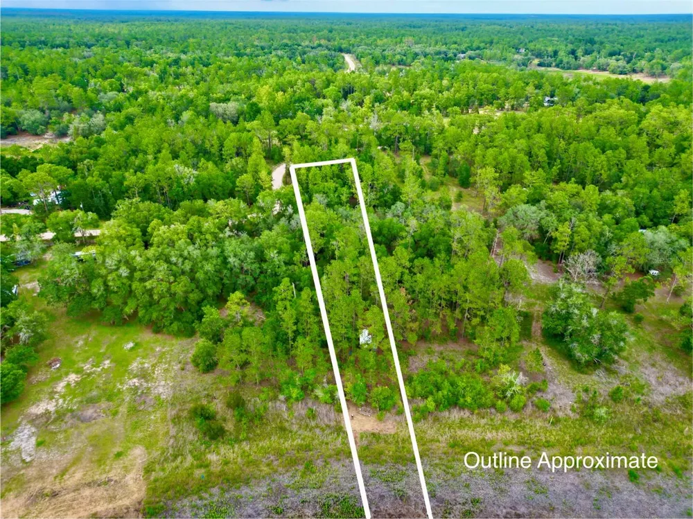 125 SILVER DOLLAR POND ROAD Hawthorne, FL 32640