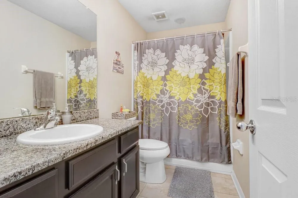 6982 HOLLY HEATH DRIVE Riverview, FL 33578