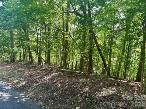 Lot 13 Crab Apple Court