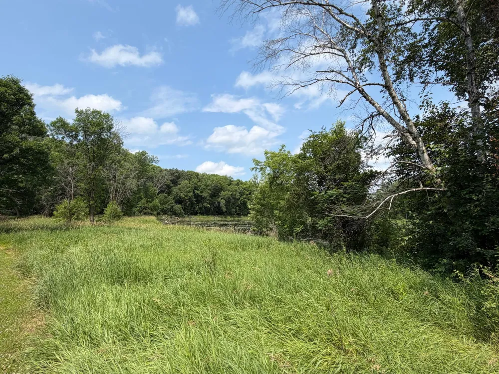 tbd Hart Avenue NW Annandale, MN 55302