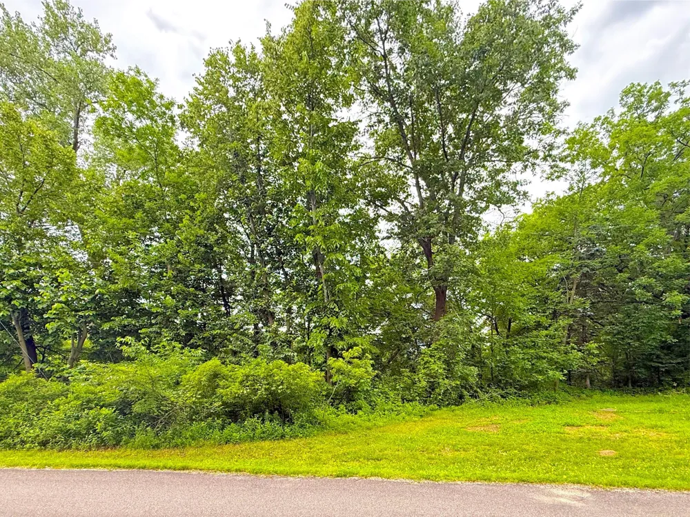 tbd Hart Avenue NW Annandale, MN 55302