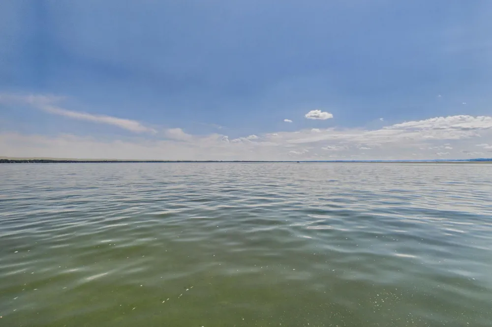 12231 Shore Drive Spicer, MN 56288