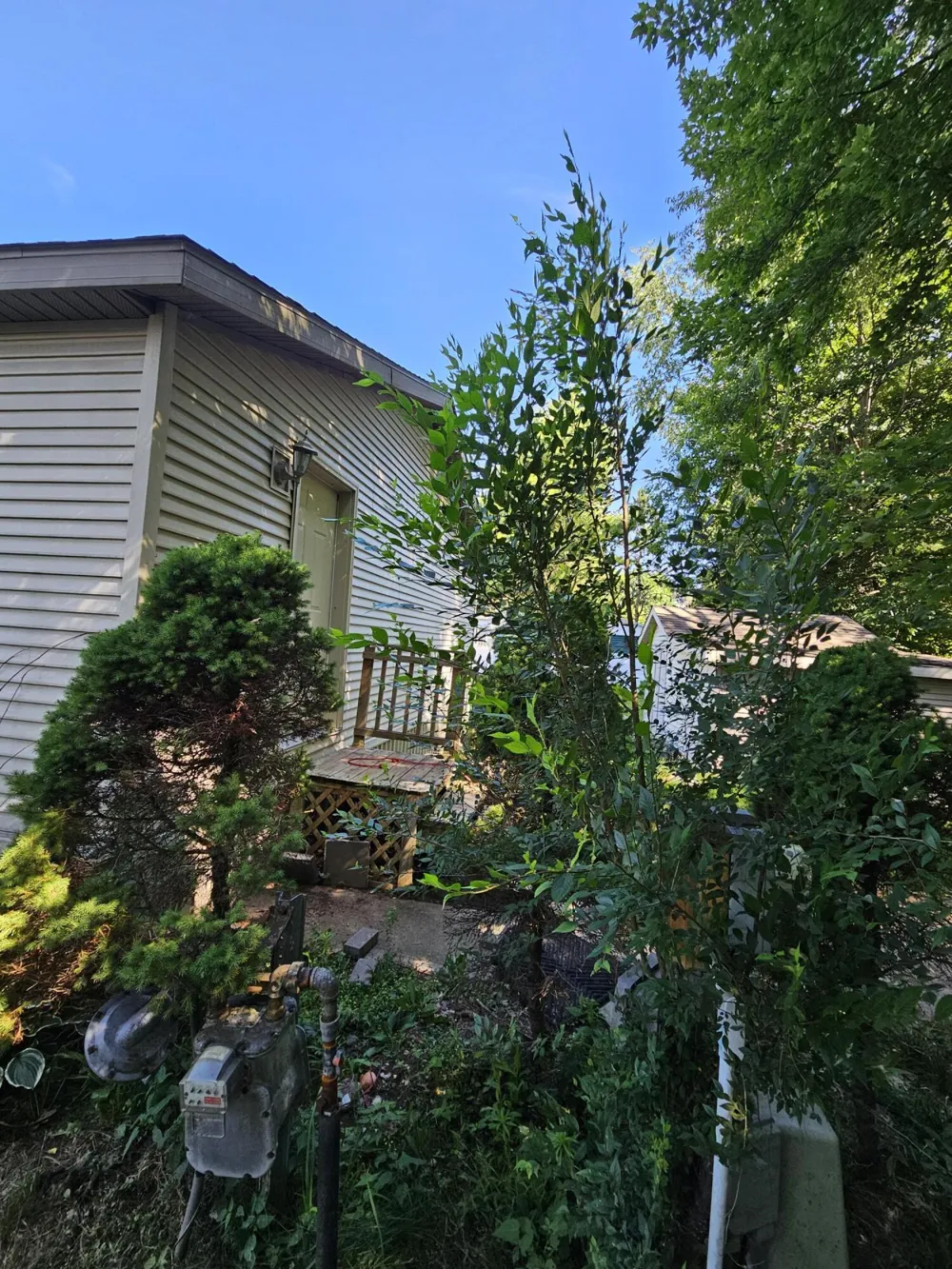 9294 Whispering Pines Avenue NW Sparta Township, MI 49345